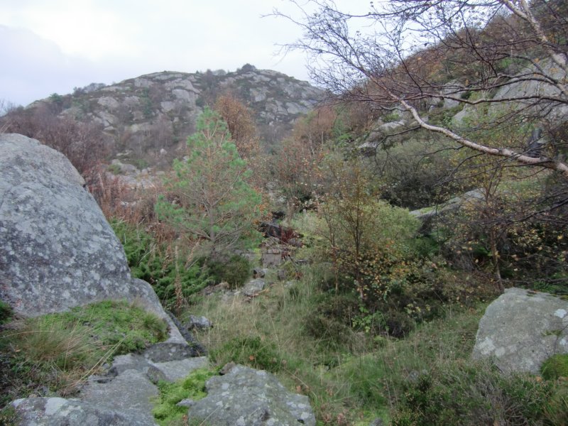 cimg3375.jpg