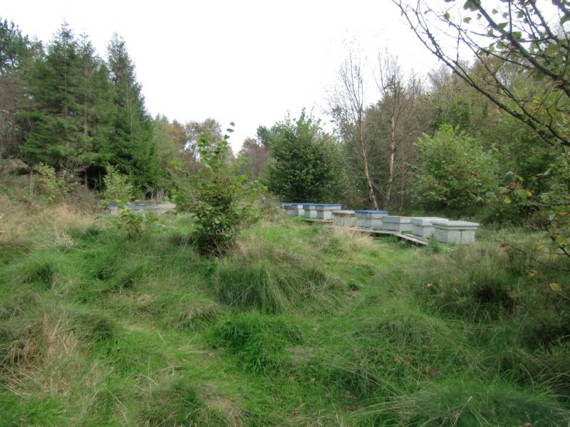 cimg3445.jpg
