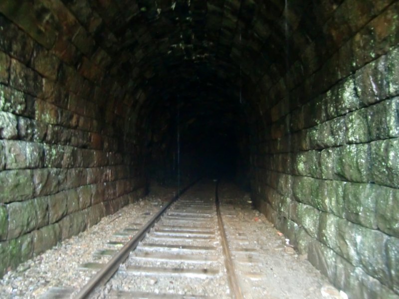 cimg3528.jpg