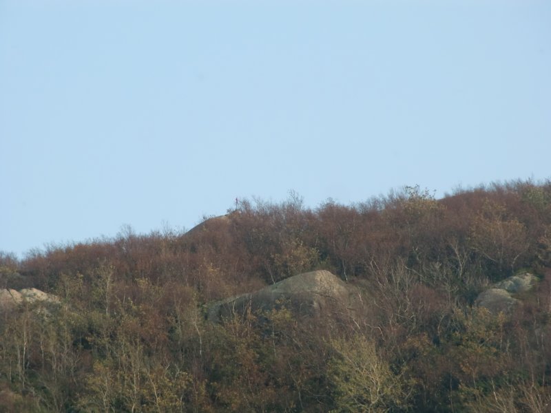 cimg3564.jpg